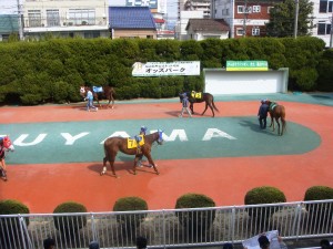 %e3%83%91%e3%83%89%e3%83%83%e3%82%af