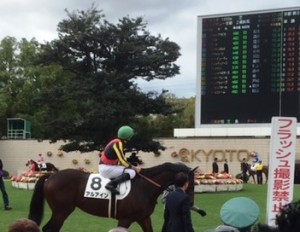 %e3%82%a2%e3%83%ab%e3%82%a2%e3%82%a4%e3%83%b3